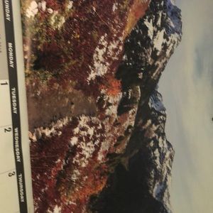 Meet your Posher, Celina